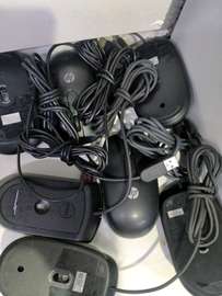 Ex UK mouse