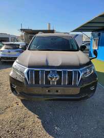 LANDCRUISER PRADO,TX,2019,PETROL