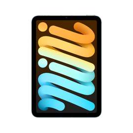 iPad mini wifi+cellular