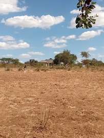 Baraka Gardens-Masinga