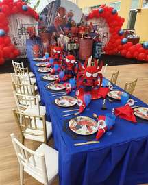 Spiderman theme Mascot hiring for Birthdays