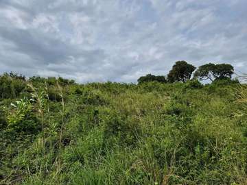 7acres Prime Land for sale in Tiwi Ukunda Kwale county