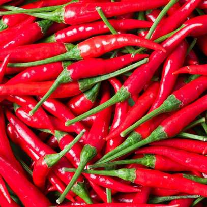 Fresh Red, Yellow & Green Bell Peppers Crisp & Sweet image 7
