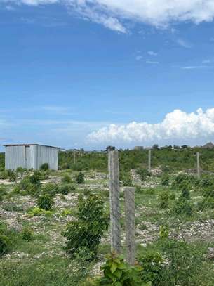 Prime 100*100 in Watamu image 4