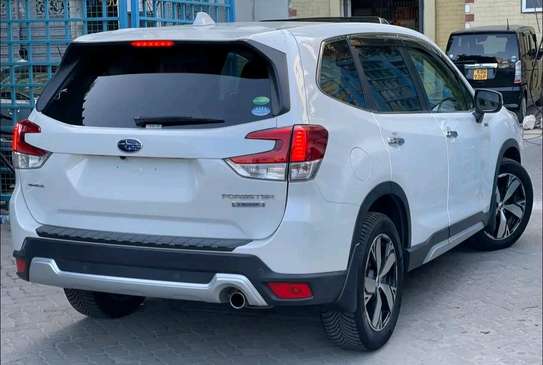 Subaru Forester E-boxer white sunroof 2019 AWD image 13