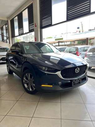 Mazda Cx-30 2019 petrol image 1