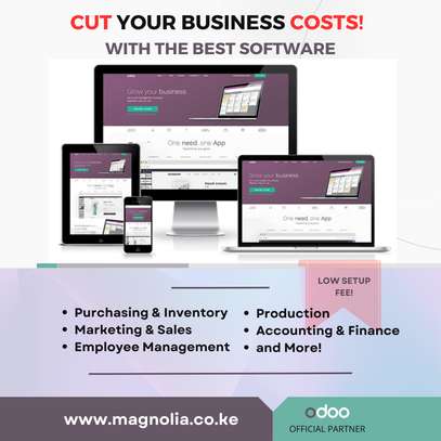 Get Odoo ERP Software and Grow Your Business image 1