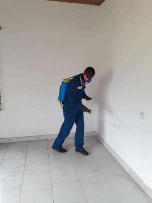 Fumigation and Pest Control Services Kabete image 2