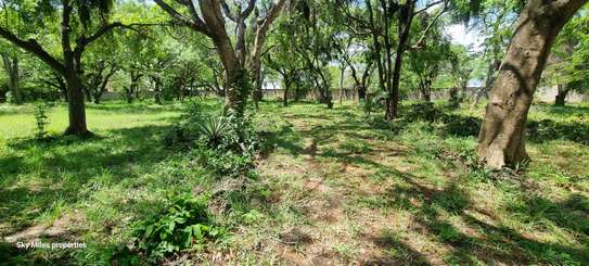2.5 ac Land at Serena image 33