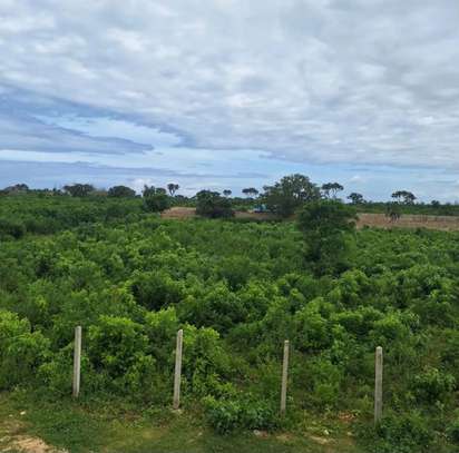 1 acre for sale in Diani image 4