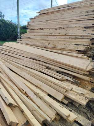 Pine timber for sale image 1