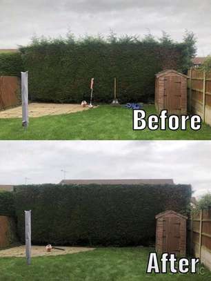 Need Lawn Care Services ? Get a quote from our specialist today!   image 12