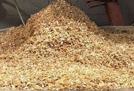 Wood shavings(maranda) image 4