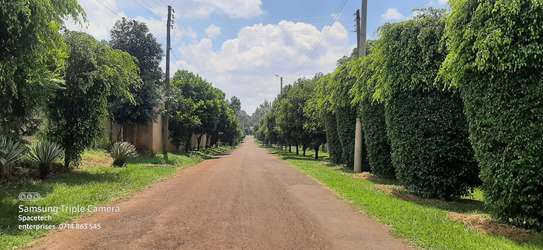 Residential Land in Runda image 21