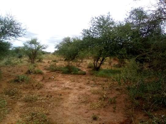 153 Acres of Land For Sale in Ngatateak - Namanga Rd image 4