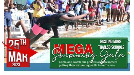 Mega Swimming Gala image 1