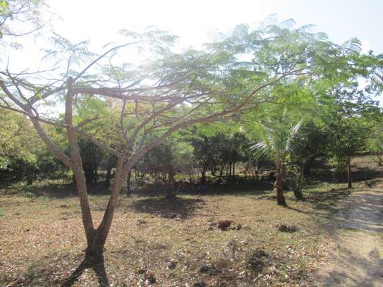 1-Acre Plots For Sale in Diani image 2