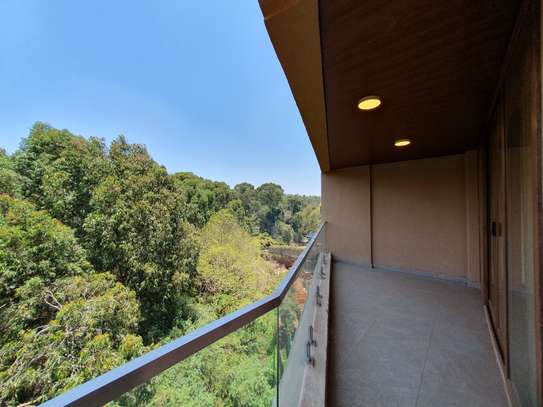 3 Bed Apartment with En Suite in Spring Valley image 34