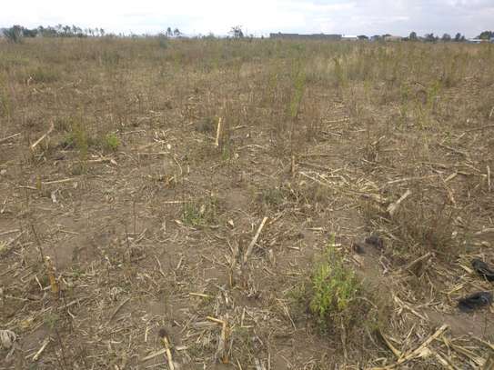 50*100 land for sale Nakuru Mbaruk Greensteds image 2
