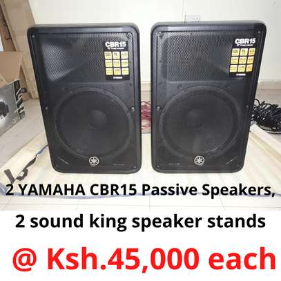 YAMAHA CBR15 Passive Speakers image 1