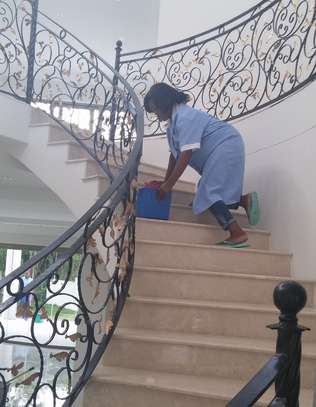 Maids / Housekeepers, Cleaners & Gardener Services in Nairobi image 10