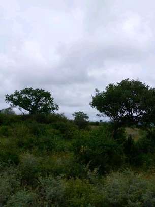 1500 acres along Athi-River for Long-term lease in kibwezi image 5