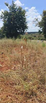 10 Acres Touching Masinga Dam is Available For Sale image 1