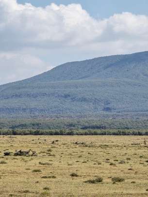 1 ac Land in Naivasha image 8