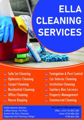 UPHOLSTERY CLEANING SERVICES. image 13