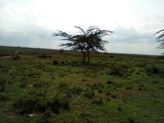 4,200 Acres of Land For Sale in Rumuruti, Laikipia image 6