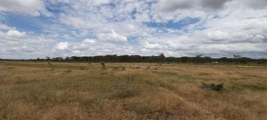 AN EXPANSIVE 4200 ACRES RANCH FOR SALE IN LAIKIPIA COUNTY image 4