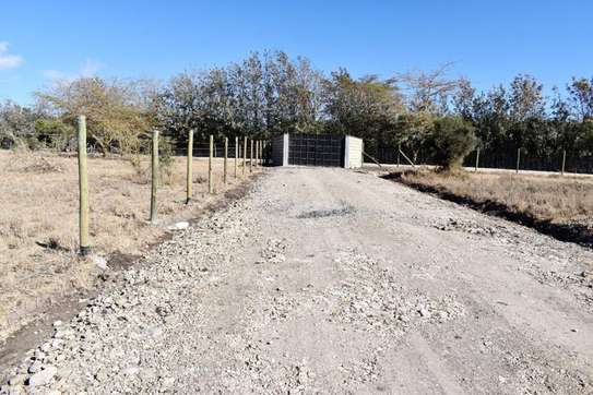 0.25 ac Land at Fred'S Ranch image 1