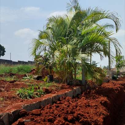 Prime 1/4 Acre Residential Plots along Ruiru-Githunguri Road image 2