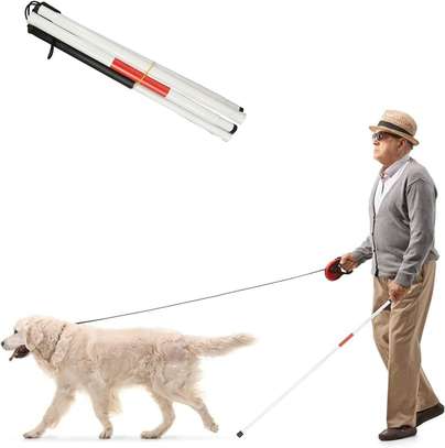 BUY WALKING CANE FOR THE BLIND PRICES IN KENYA image 5