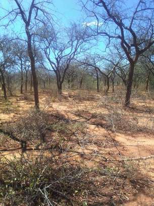 64 acres along Makindu-Wote Road Makueni County image 11