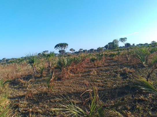 33 ac Commercial Land at Kiwengu image 10