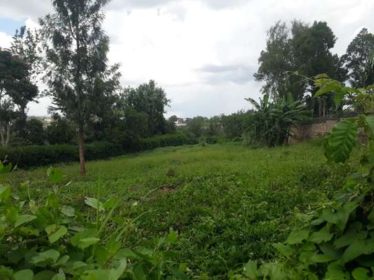 0.5 ac Residential Land in Thome image 3