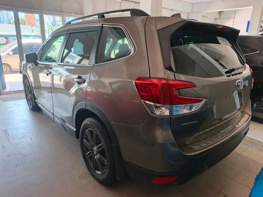 Subaru foerster Eboxer image 2