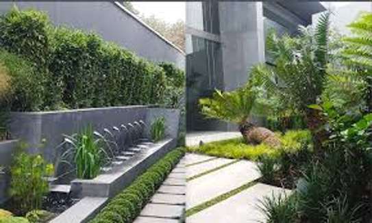 Best Landscaping & Gardening Services-Nakuru Experts image 2