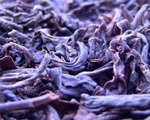 Purple Tea image 1