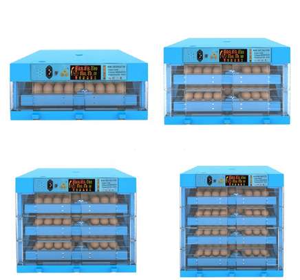 Imported Quality Egg Incubators image 2