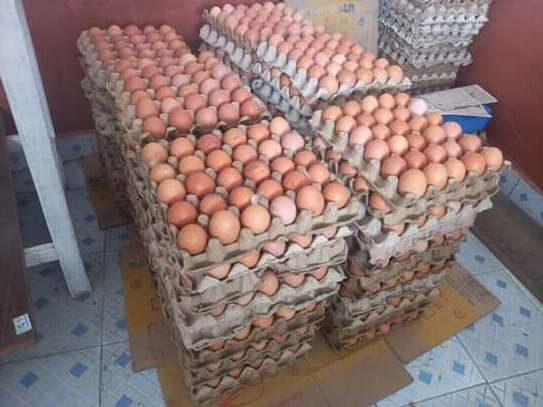 Farm Fresh Eggs Available image 1