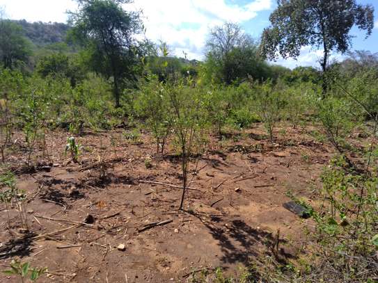 2 acres available in Tharaka constituency Marimanti location image 3