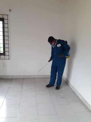 Fumigation and Pest Control Services Kabete image 3