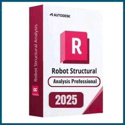 Robot Structural Analysis 2025 image 1