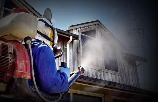 Bed bug fumigation services in kitengela cost In Nairobi image 3