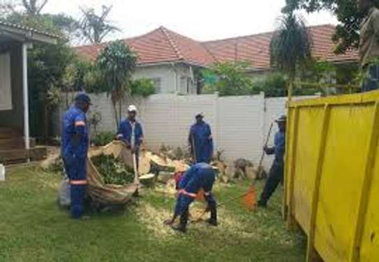 Best Tree Service in Kenya-TREE Felling and tree removal image 1