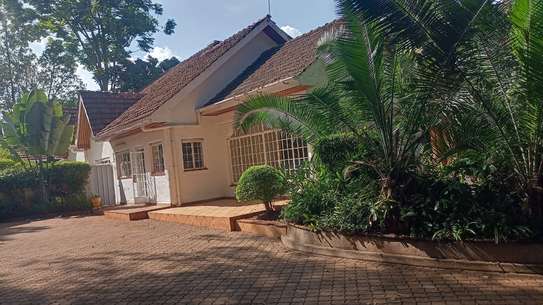 4 Bed House with En Suite in Westlands Area image 20