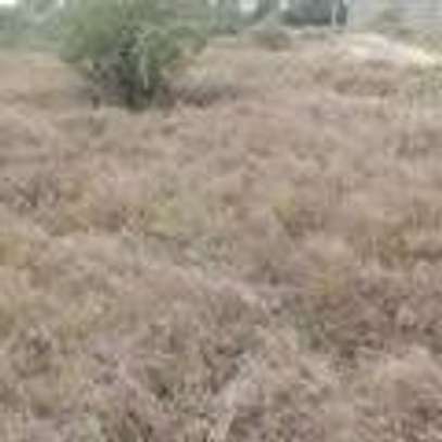 land for sale in Namanga image 9