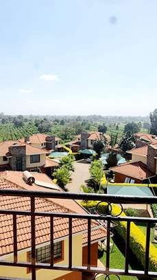 Furnished 2 bedroom apartment for rent in Kiambu Road image 9
